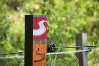 Load image into Gallery viewer, Aluminum Stranded Electric Fence Wire for Garden Fence, Electric Fence, 5/16 Mile(500M) 16 Gauge (1.6mm) - AgriOtter
